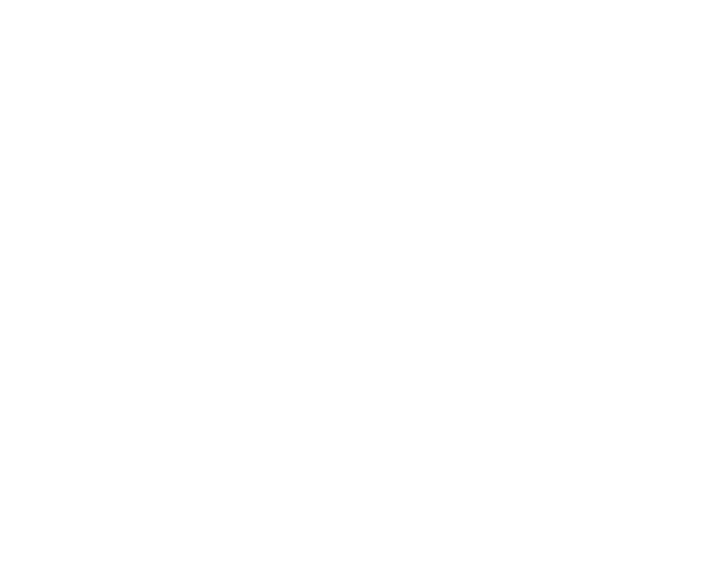 Handy Brothers Mobile Car Wash